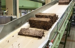 producing tobacco shred